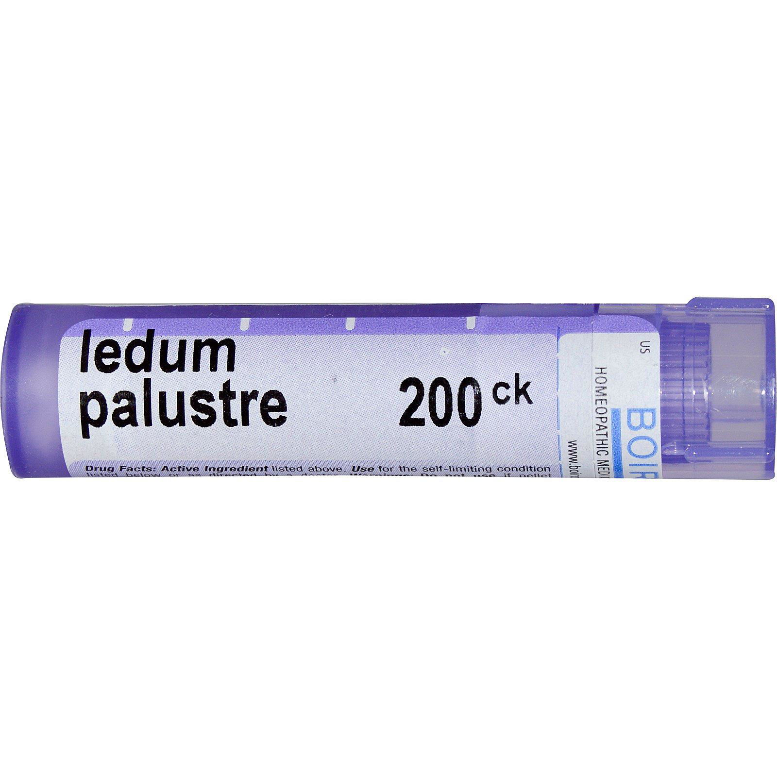 Boiron, Single Remedies, Ledum Palustre, 200CK,  apróx. 80 gránulos