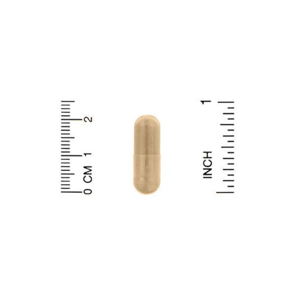 Zhou Nutrition, Hierba de Cabra en Celo, complejo para la energía sexual, 60 cápsulas vegetales - Imagen 3