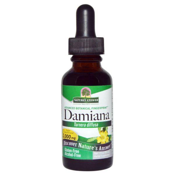 Nature's Answer, Damiana, Libre de Alcohol, 2.000 mg, 1 fl oz (30 ml)