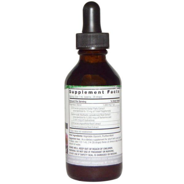 Nature's Answer, Echinacea y Sello de Oro, Sin Alcohol, 1,000 mg, 2 fl oz (60 ml) - Imagen 2