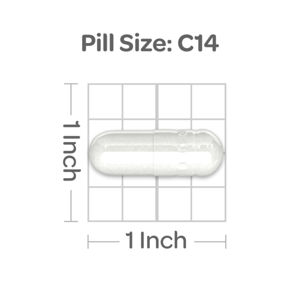 Cáscaras de psyllium 750 mg - Imagen 2
