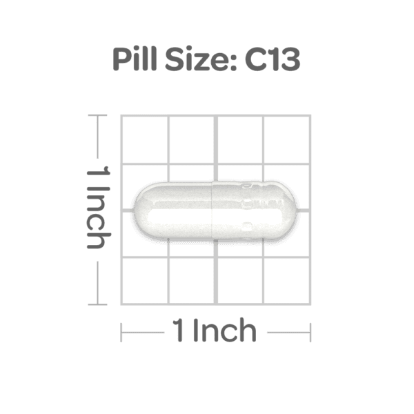 L-carnosina 500 mg - Imagen 2