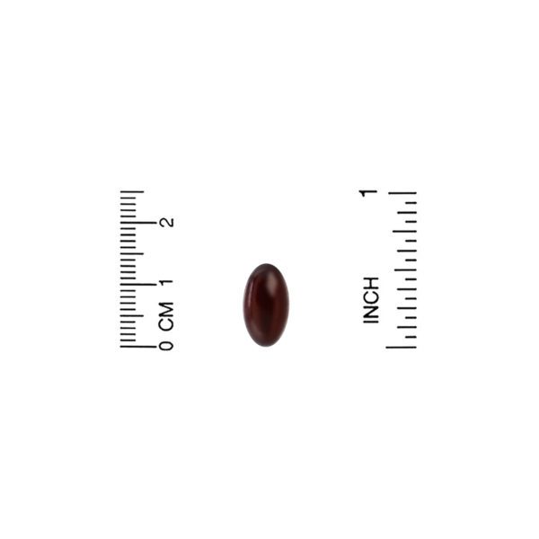 Lake Avenue Nutrition, Astaxantina, 10 mg, 120 cápsulas blandas vegetales - Imagen 3