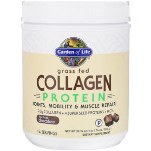 Garden of Life, Proteína de colágeno proveniente de animales alimentados con pastura, Chocolate, 588 g (20,74 oz)