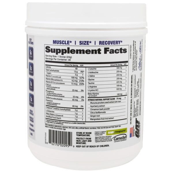GAT, JetMASS, Fast-Acting Volumizing Creatine System, Tropical Ice, 25.4 oz (720 g) - Imagen 2