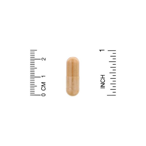 Organic India, Ceylon Cinnamon, 90 Vegetarian Caps - Imagen 3