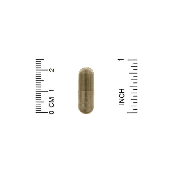 Nature's Way, Ashwagandha, 500 mg, 60 Vegan Capsules - Imagen 3