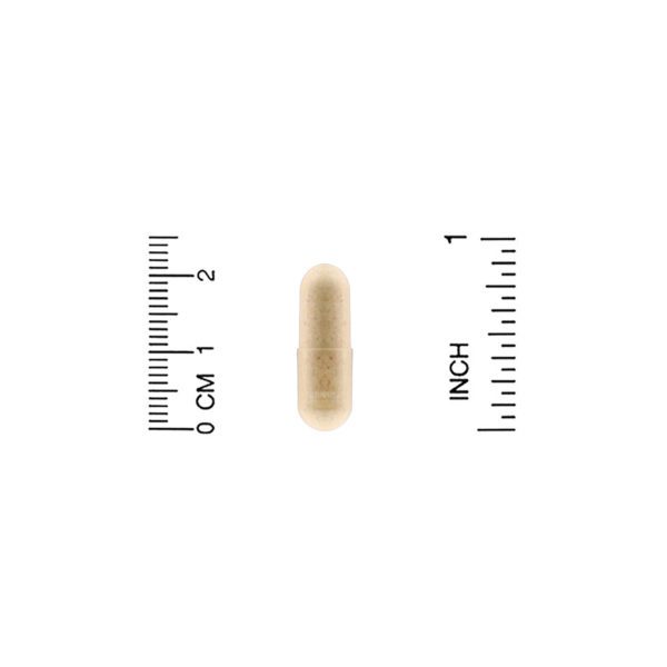 California Gold Nutrition, Complejo de silimarina, Salud hepática, Cardo mariano, Curcumina, Alcachofa, Diente de león, Jengibre, Pimienta negra, 360 cápsulas vegetales - Imagen 3