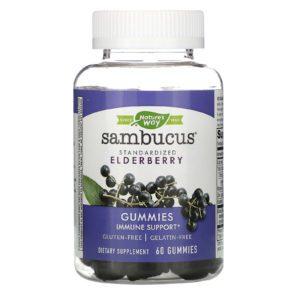 Nature's Way, Gomitas Sambucus, Saúco estandarizado, 60 gomitas