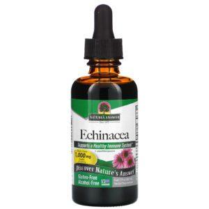Nature's Answer, Equinácea, Sin Alcohol, 1000 mg, 2 fl oz (60 ml)