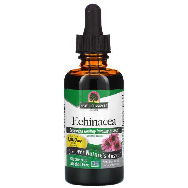 Nature's Answer, Equinácea, Sin Alcohol, 1000 mg, 2 fl oz (60 ml)