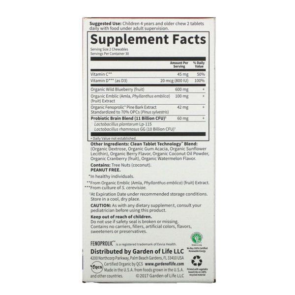 Garden of Life, Dr. Formulated Brain Health, Attention & Focus for Kids, Watermelon Berry, 60 Yummy Chewables - Imagen 2