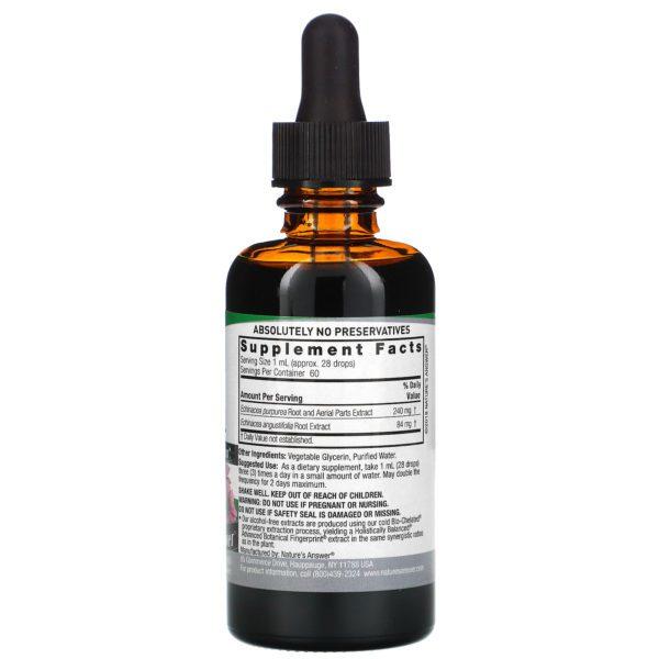 Nature's Answer, Equinácea, Sin Alcohol, 1000 mg, 2 fl oz (60 ml) - Imagen 2