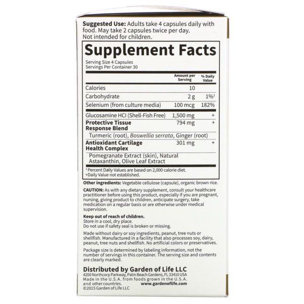 Garden of Life, FYI Ultra, Ultimate Joint & Cartilage Formula, 120 UltraZorbe Vegetarian Capsules - Imagen 2