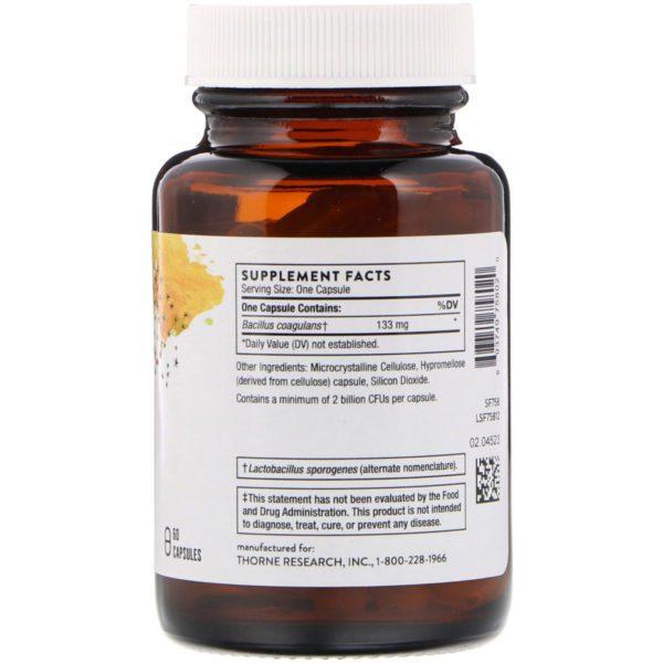 Thorne Research, Bacillus Coagulans, 60 Cápsulas Vegetales - Imagen 2