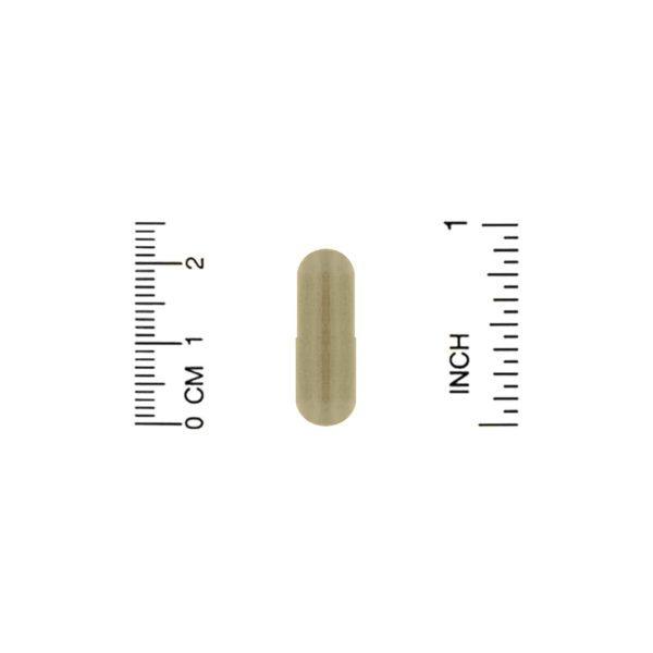 Whole World Botanicals, Chancapiedra real, Apoyo para la vesícula biliar y el hígado, 400 mg, 120 cápsulas vegetales - Imagen 3