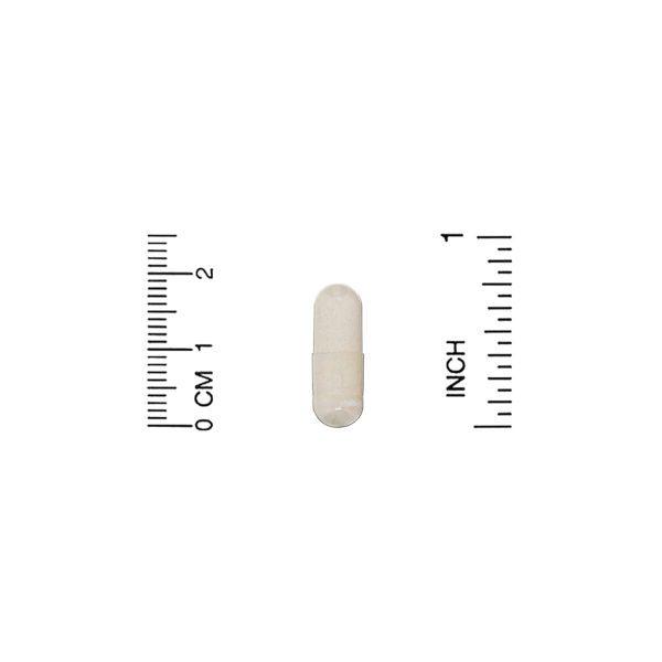 California Gold Nutrition, S-acetil-L-glutatión, 100 mg, 30 cápsulas vegetales - Imagen 3