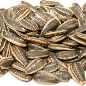 Roasted Sunflower Seeds (Unsalted, In Shell), 1 lb (454 g) Bag