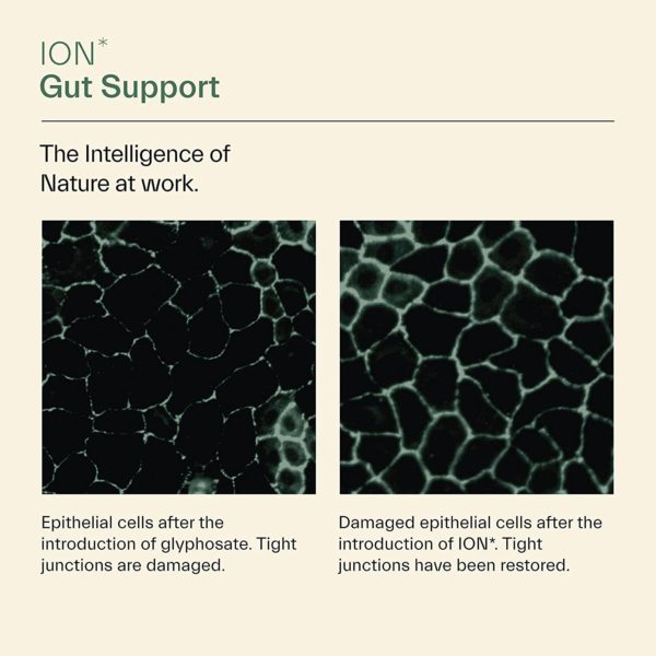 ION* Intelligence of Nature Gut Support (Antes Restore) - Imagen 5