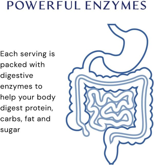 BodyHealth, Digestive Enzymes, Full Spectrum 180 caps - Imagen 5