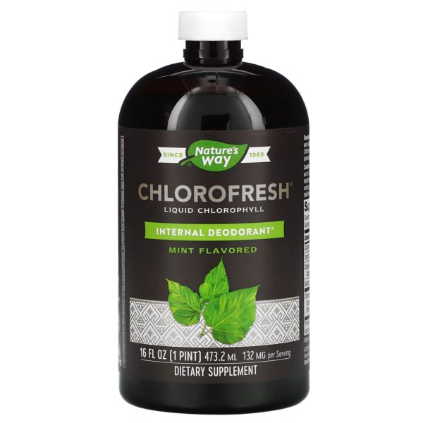 Nature's Way, Chlorofresh, Clorofila líquida, Menta, 132 mg, 473,2 ml (16 oz. líq.)